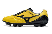 Mizuno Wave Ignitus Japan football boot Field